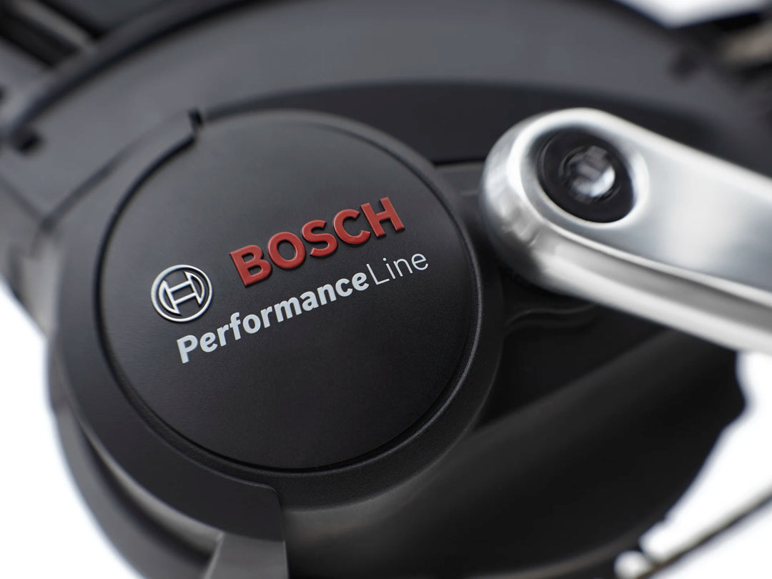 Electra Ghostrider Go! 5i 2025 Low Rider Elcykel