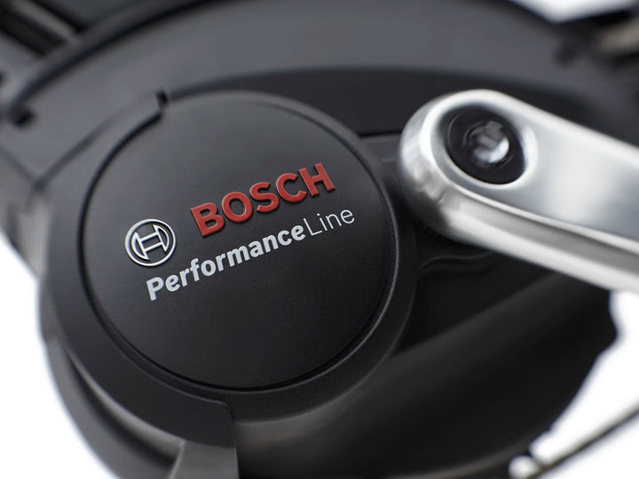 Electra Ghostrider Go! 5i 2025 Low Rider Elcykel