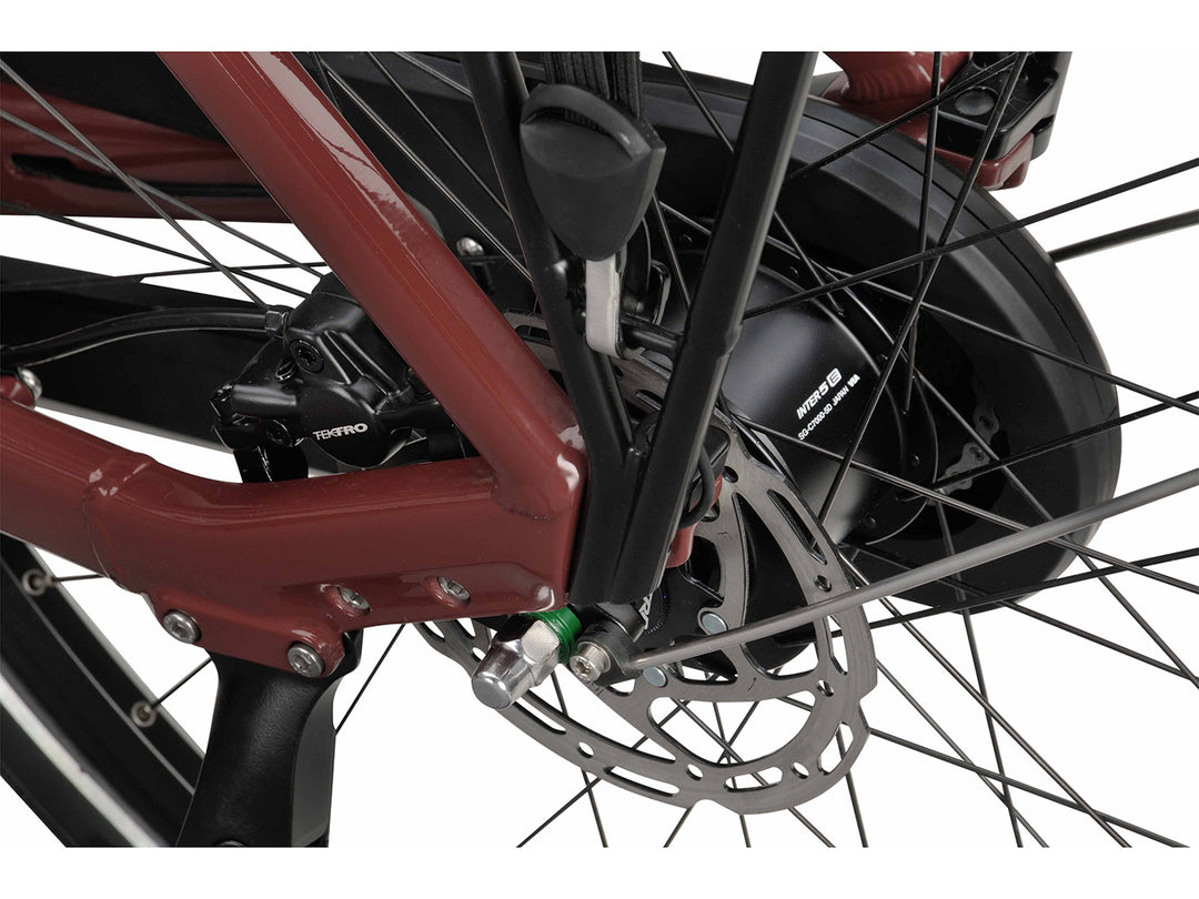 Batavus Altura E-go Power Pro Elcykel