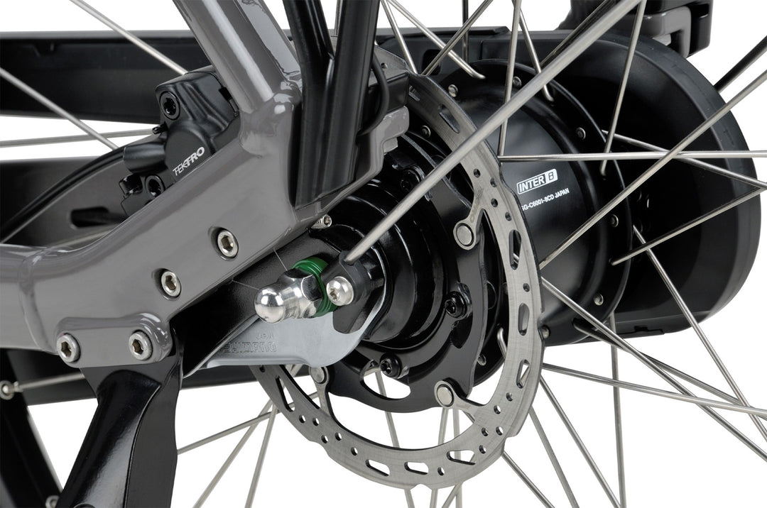 Batavus ALTURA POWER+ Elcykel Lav