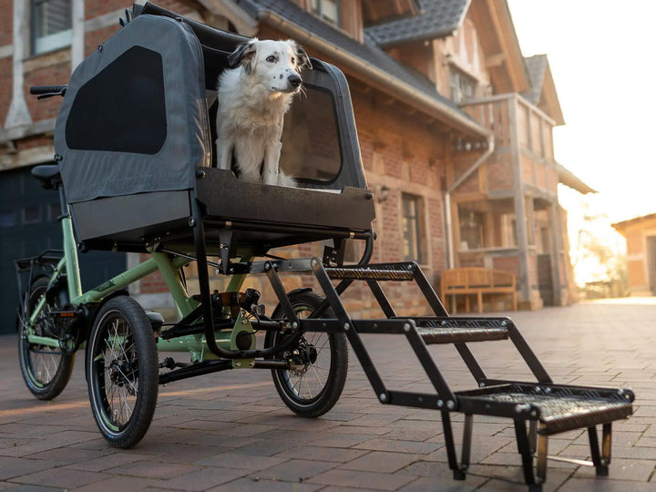 Chike e-Dog SE El Ladcykel