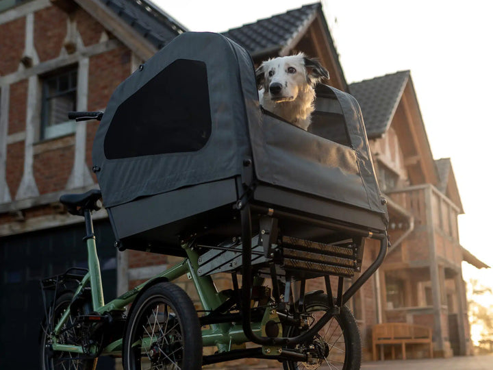 Chike e-Dog SE El Ladcykel