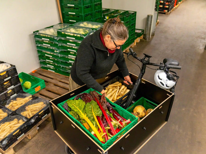 Chike e-Cargo SE El Ladcykel