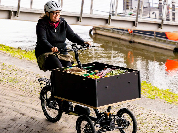 Chike e-Cargo SE El Ladcykel