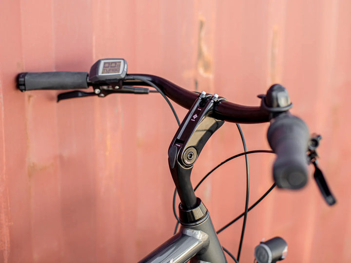 Trek District+ 1 El Herrecykel