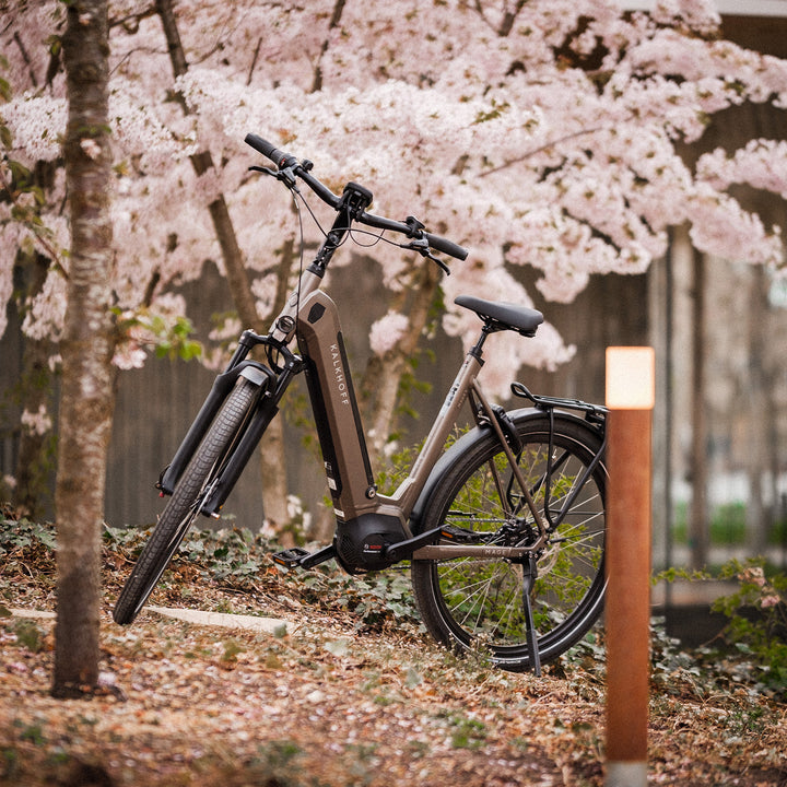 KALKHOFF IMAGE 5B MOVE+ Elcykel