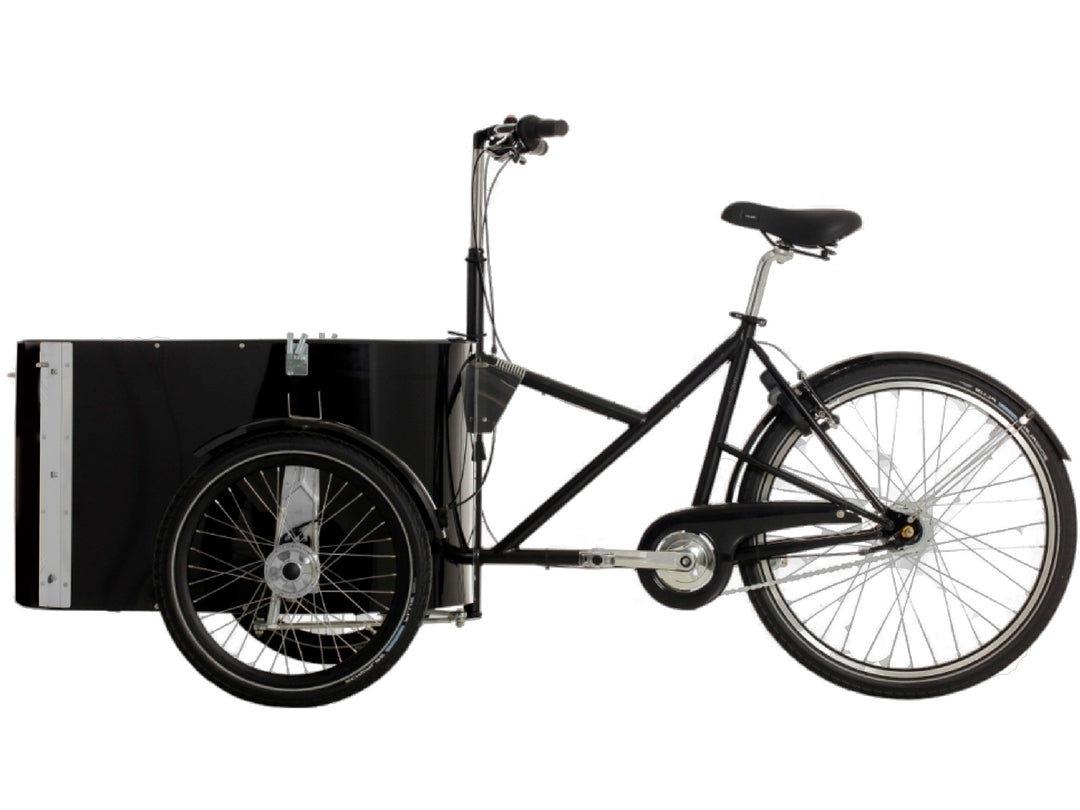 Nihola Dog GEN2 El Ladcykel