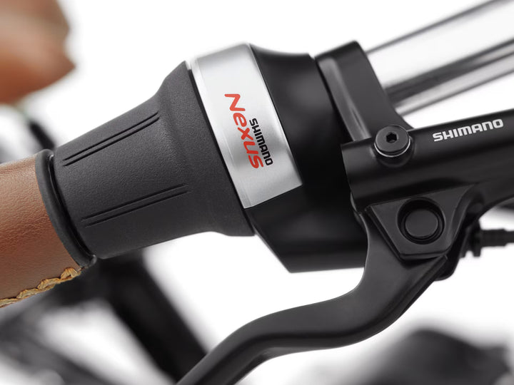 Electra Townie Commute Go! 5i EQ El Herrecykel