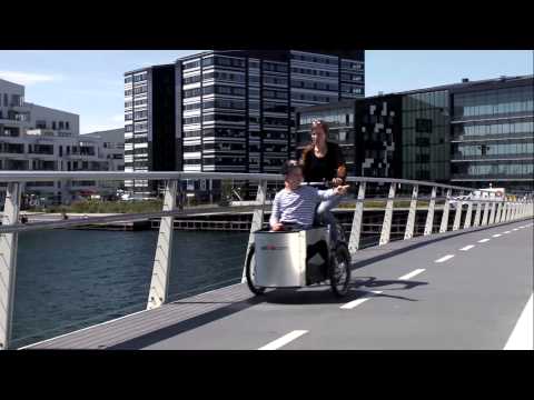 Nihola REHAB El Ladcykel