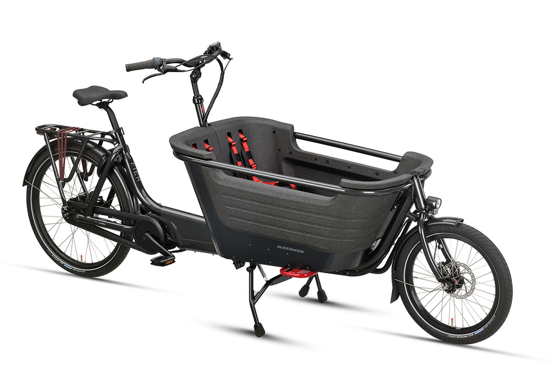 Batavus Fier 2 El Ladcykel