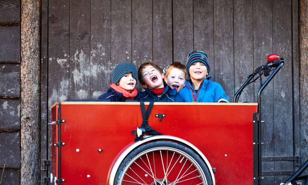 Christiania Bike Long Reardrive