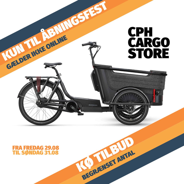 Batavus Fier 3 Nexus El Ladcykel (Cargostore)