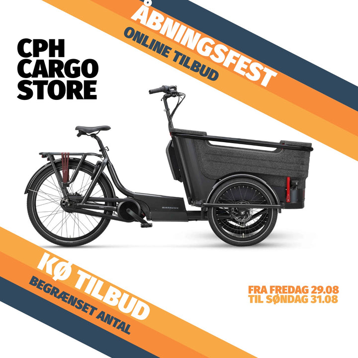 Batavus Fier 3 Enviolo El Ladcykel