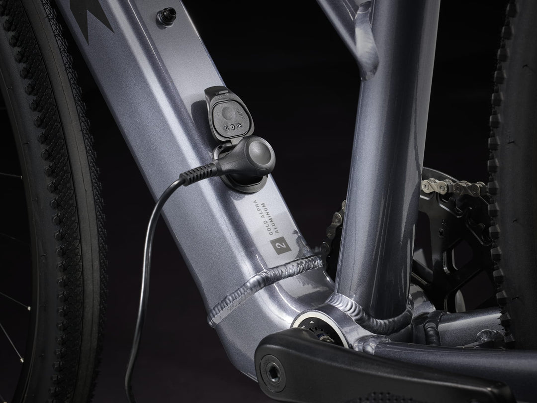 Trek Dual Sport+ 2 250Wh Elcykel Dame