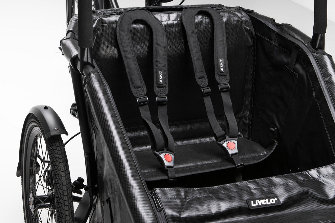 Livelo #1 El Ladcykel