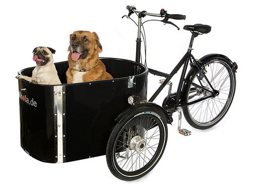 Nihola Dog GEN2 El Ladcykel