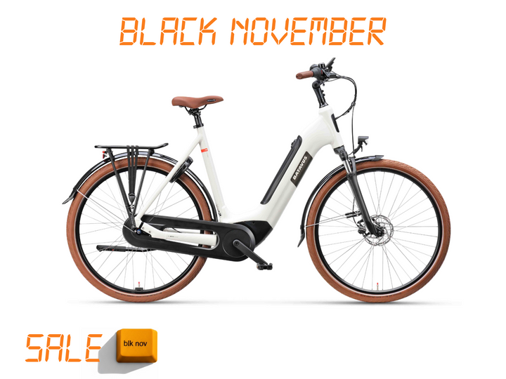 Batavus Altura E-go Power Pro BES3