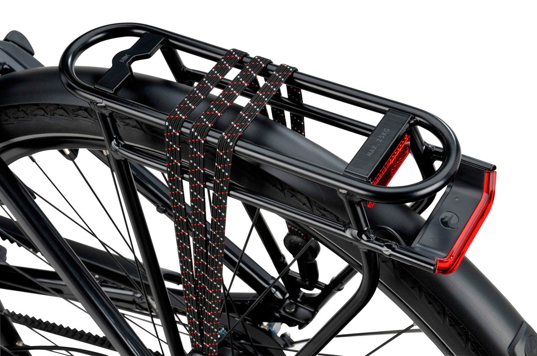 Batavus Senz Active Exclusive Damecykel