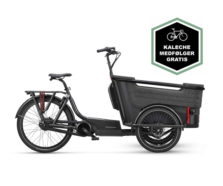 Batavus Fier 3 Enviolo El Ladcykel