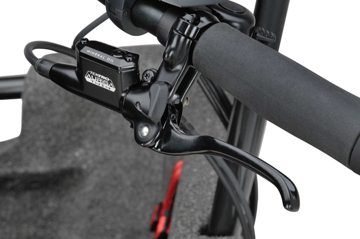 Batavus Fier 3 Enviolo El Ladcykel