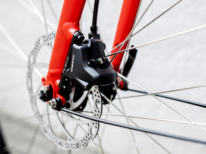 Trek FX 2 Disc Equipped Damecykel