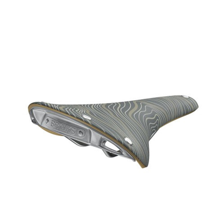 Brooks Cambium C17 Unisex